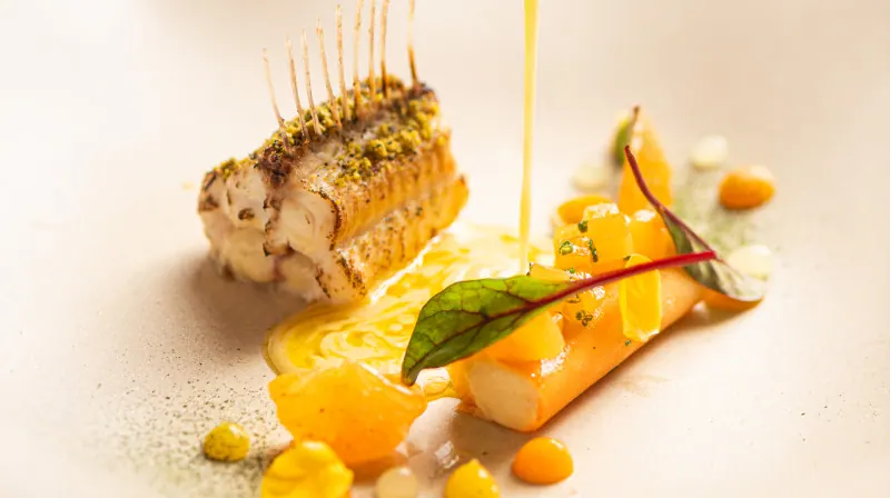 Gourmet and Relaxation Experience at HM Palma Blanc