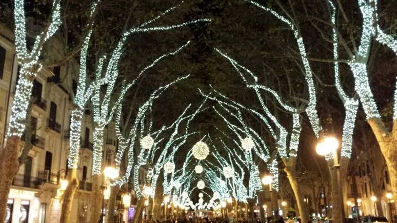 Christmas Gift Ideas in Mallorca: Surprise Them with Unforgettable Experiences