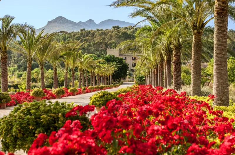 The 10 Best Farm Hotels with Pools in Mallorca