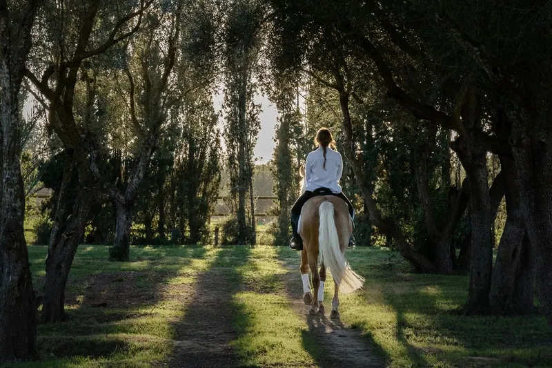 The Best Agrotourism Hotels in Mallorca for a Getaway and Disconnecting
