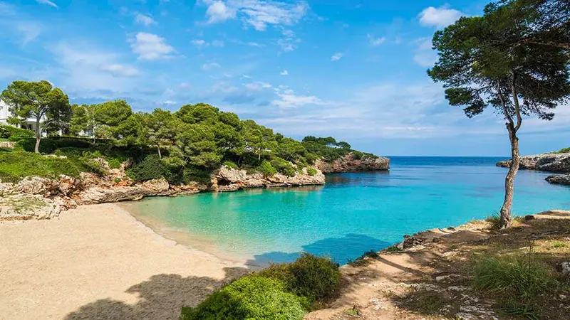 Father's Day in Mallorca