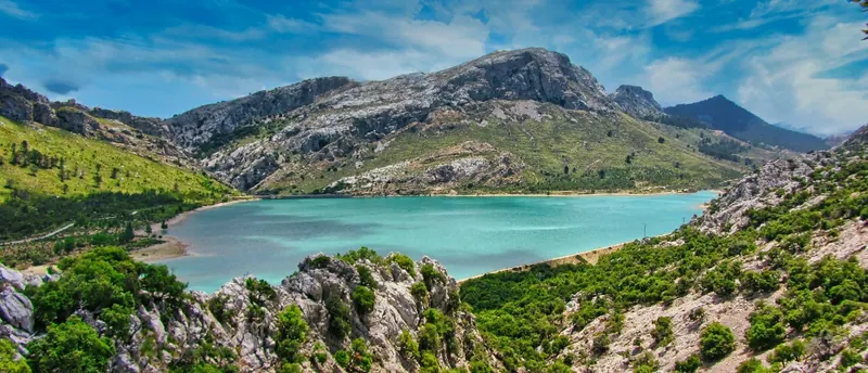 The Best Agrotourism Experiences in Mallorca
