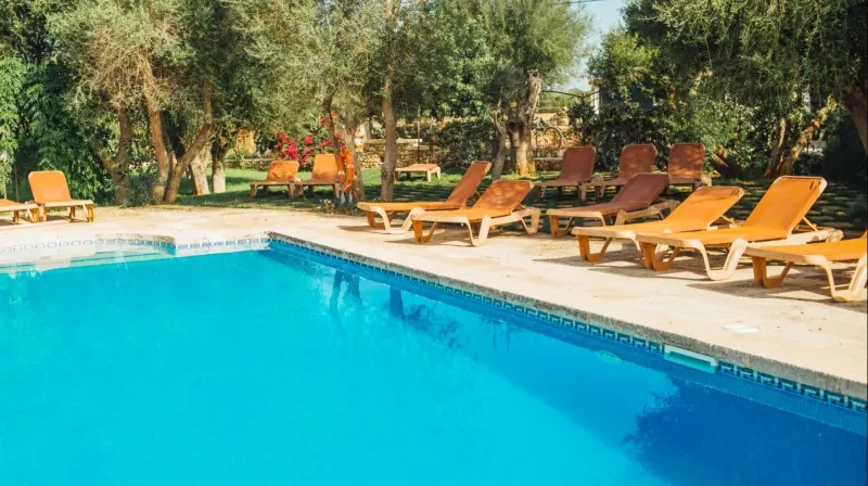 Pool, Hammock and Lunch Day