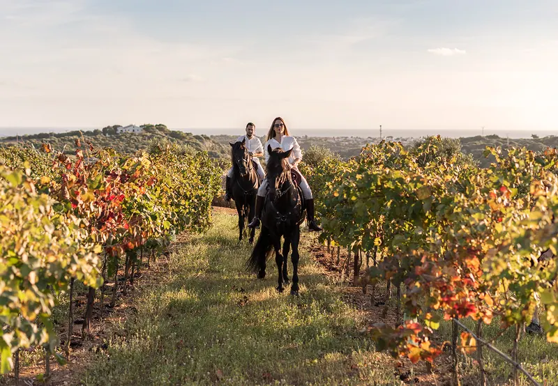 Agrotourism in Mallorca